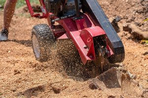 Man grinding a stump with a gas powered stump grinder